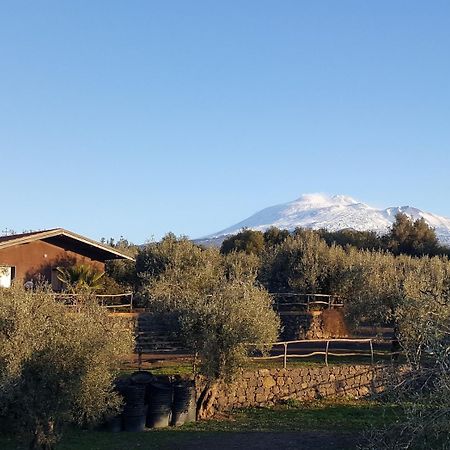 Bed and Breakfast Acquarossabed Belpasso Exteriér fotografie